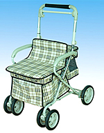 shopping cart 2A