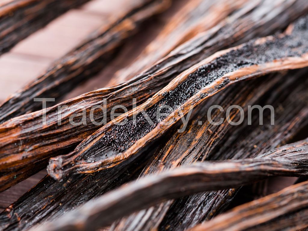 High quality Vanilla beans for export.