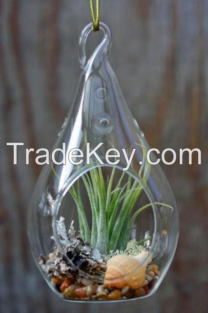 Clear Hanging Glass Teardrop Tealight Candle Holder,Teardrop terrarium glasses