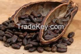 Cocoa Beans