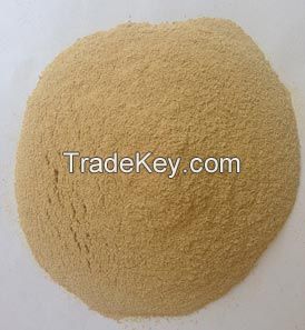 Dried Brewer Yeast