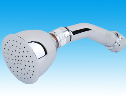 All Directional Shower