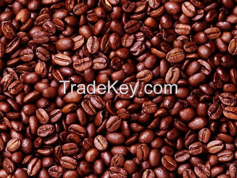 Arabica Roasted Green Coffee Beans with Best Price