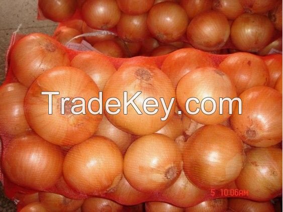 Best Quality Fresh Peeled White, Red, Purple Onion for Sale