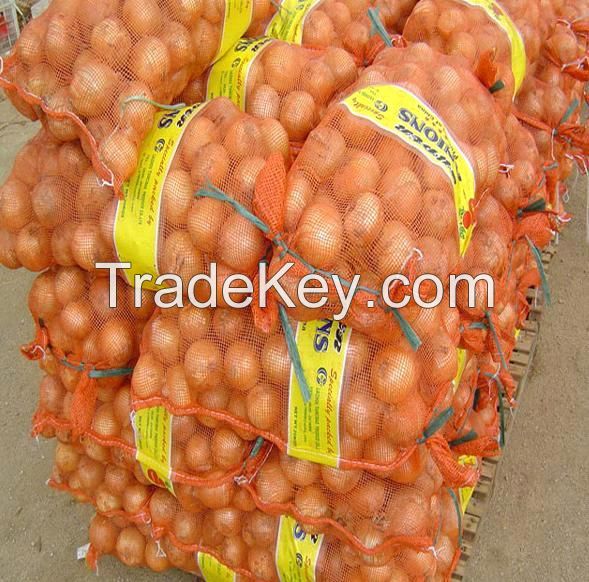 Best Quality Fresh Peeled White, Red, Purple Onion for Sale