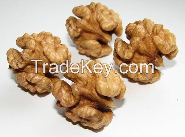 Organic Shelled Walnuts with Premium Quality