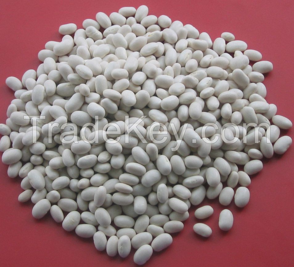 African white kidney beans / Soya beans / Red and sparkle kidney beans