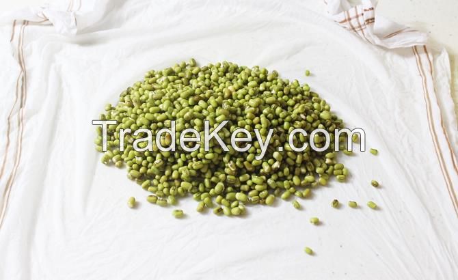 Green Mung Beans Specification, Price For Mung Beans