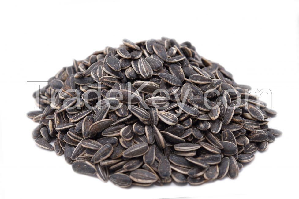 SUNFLOWER SEEDS 5009 ,363 (20/64 22/64 24/64)