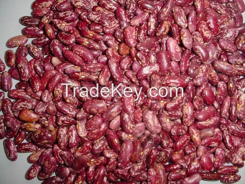 HIGH QUALITY HEANLTHY RED SPECKLED KIDNEY BEANS