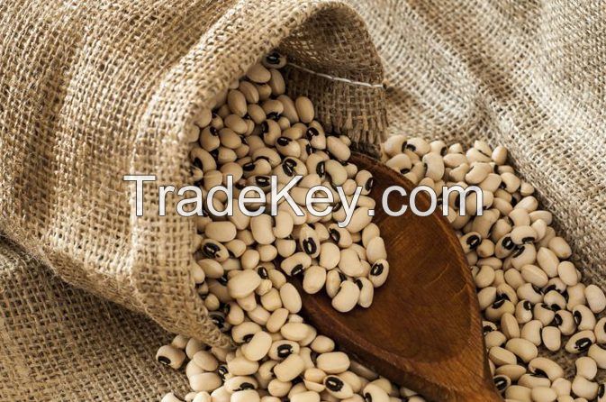 Black Eyed Beans, New crop and Best Price