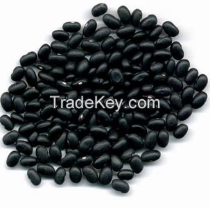 Black kidney bean HPS, 500-550pcs / 100g, 2015 Crop