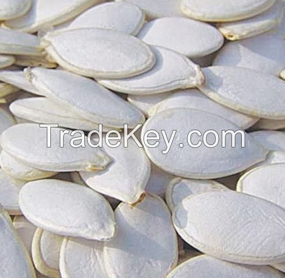 Shine Skin Snow White Pumpkin Seeds In Shell For Sale