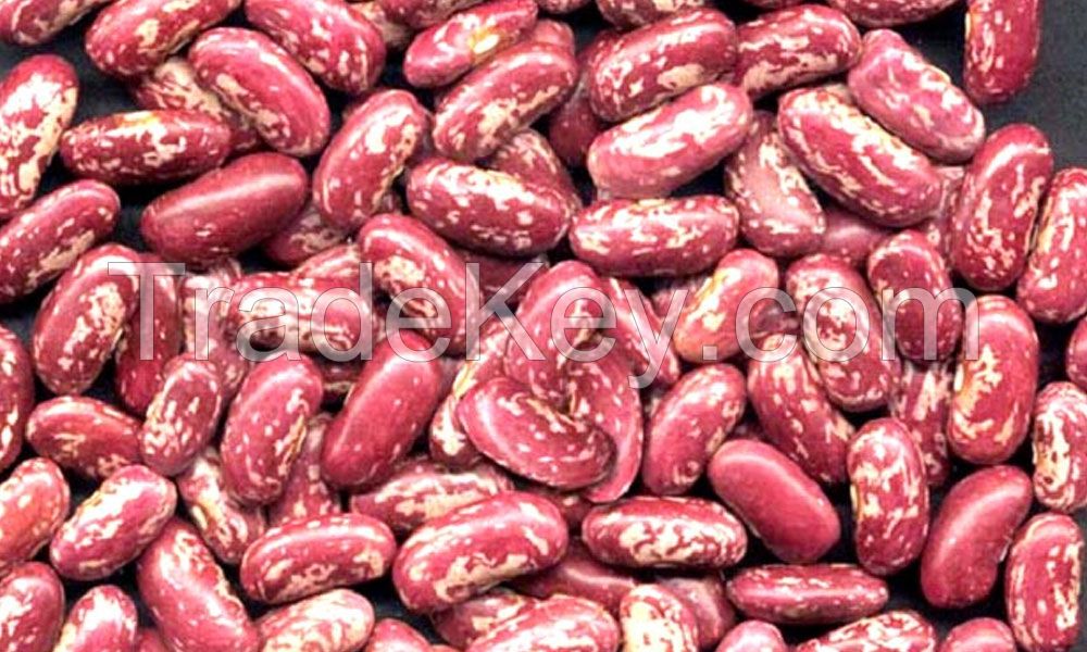 HIGH QUALITY HEANLTHY RED SPECKLED KIDNEY BEANS