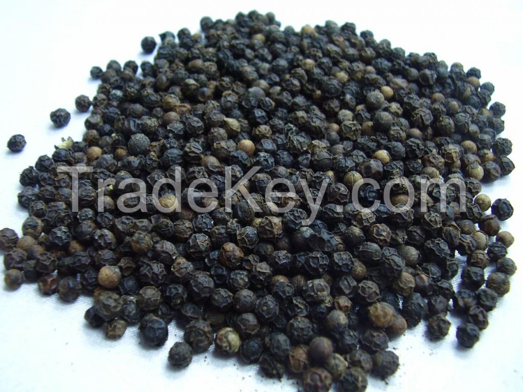 Vietnamese Black Pepper / White Pepper Wholesale