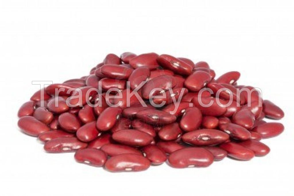 Red Kidney Beans Long shape Supplier