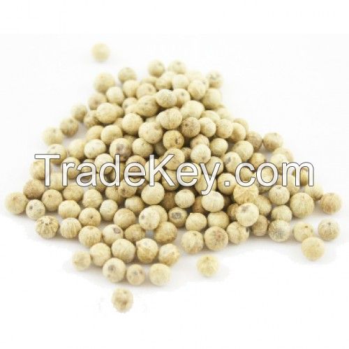 BEST NATURAL WHITE PEPPER, BEST QUALITY & GOOD PRICE BY BHUD EXPORT