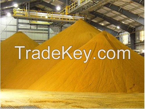 Best Quality Corn Gluten Meal/Animal Feed/Feed Grade Yellow Corn at very cheap price