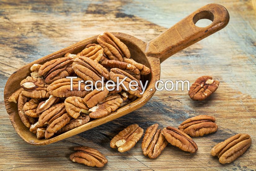 High Quality Raw Pecan Nuts, Pecan Nuts for Sale at CHEAP price