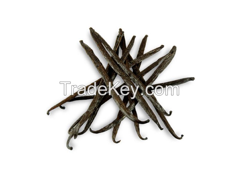 100% Natural Vanilla beans at farm prices