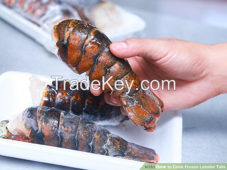 Frozen seafood Canadian lobster