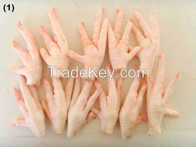 Processed Grade A Halal Chicken Paws Suppliers | Exporters of Chicken and Chicken Parts