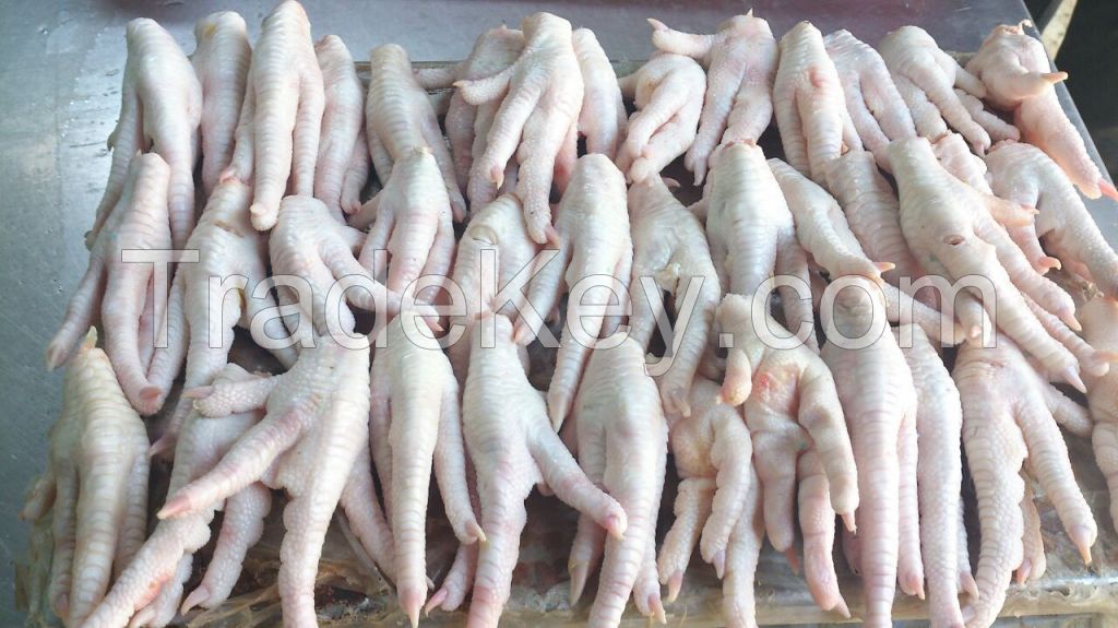 Halal Grade A Chicken Feet / Frozen Chicken Paws Thailand/CHicken Wings