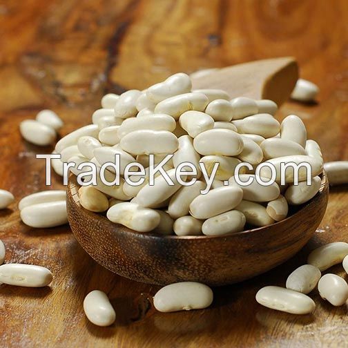 Processed High Quality White Kidney Beans for Sale from factory