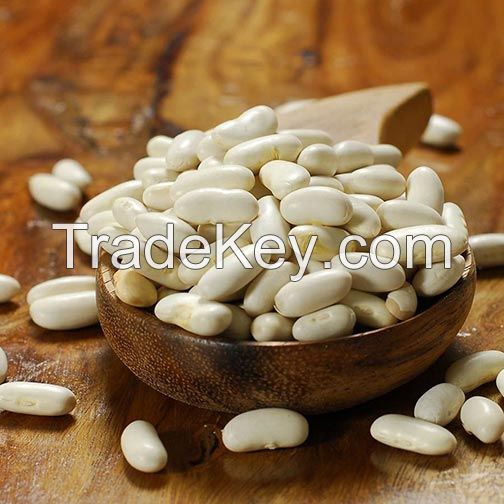 Processed High Quality White Kidney Beans for Sale