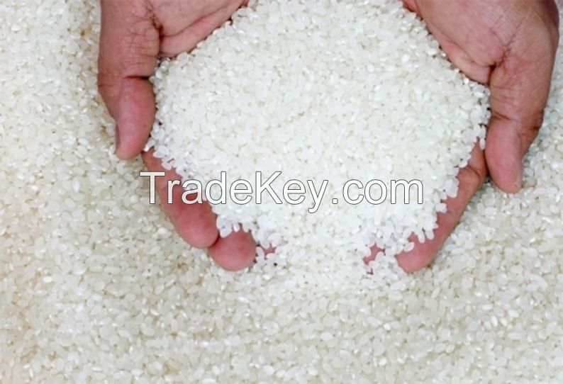New Crop 5% Broken White Thailand Long Grain Rice