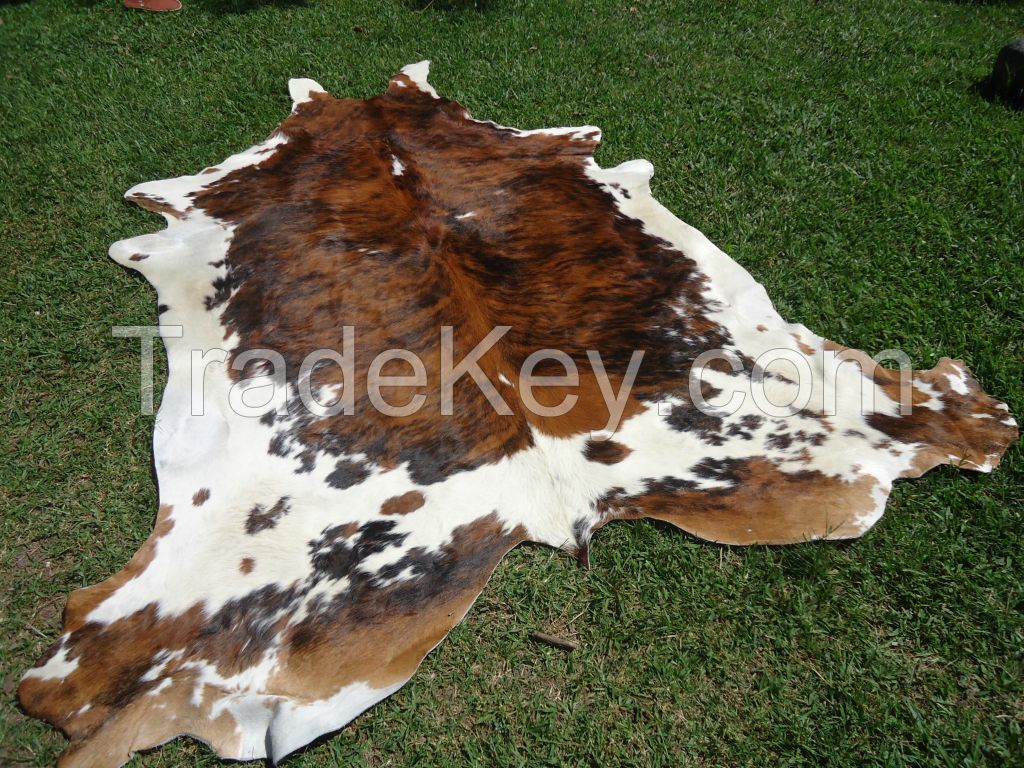 Dry and Wet Salted Donkey/Horse hide /Wet Cow Hides factory price
