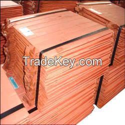 Copper Cathode