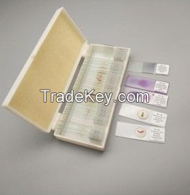 Prepared Microscope Slides for Education