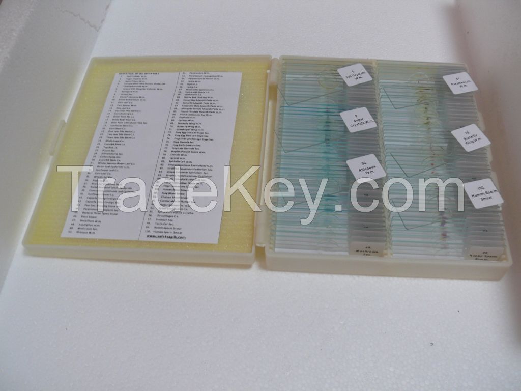 Prepared Microscope Slides for Education