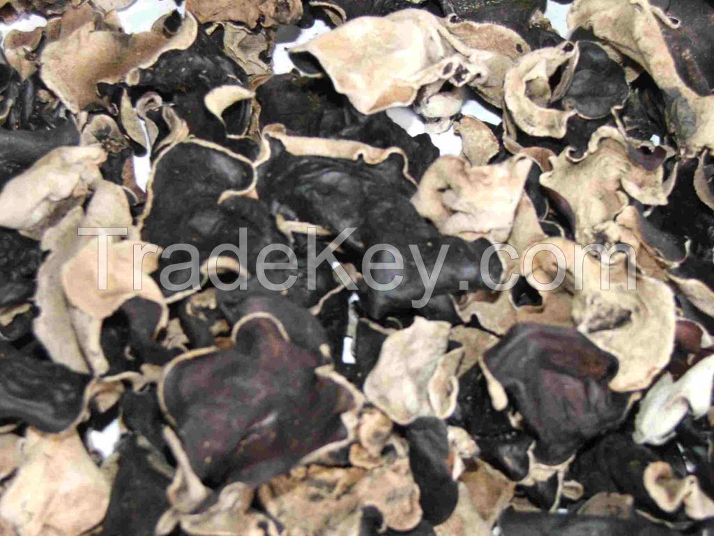 Black Fungus (wood-ear Mushroom)