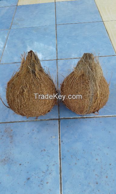 Semi Husked Mature Coconut