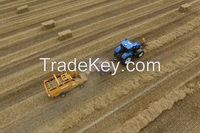 French Hay small bales  0, 41mx0, 46mx1m