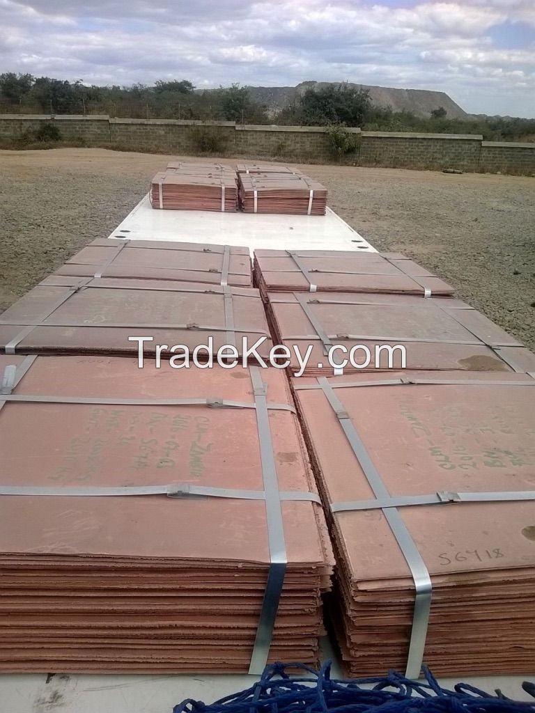 Copper Cathodes