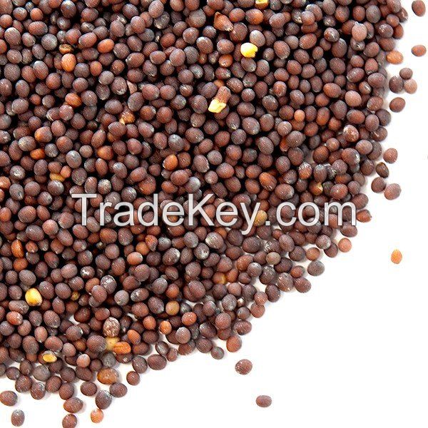 Mustard Seeds