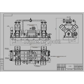 Biogas compressor