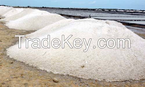 IODIZED SALT