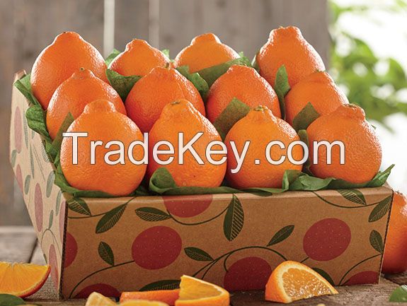 Navel Oranges