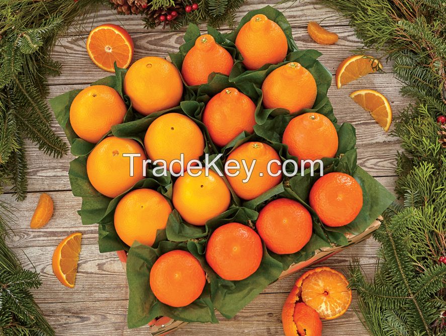 Navel Oranges