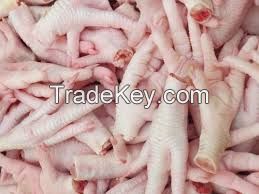 Processed Grade AAA Frozen Chicken Feet