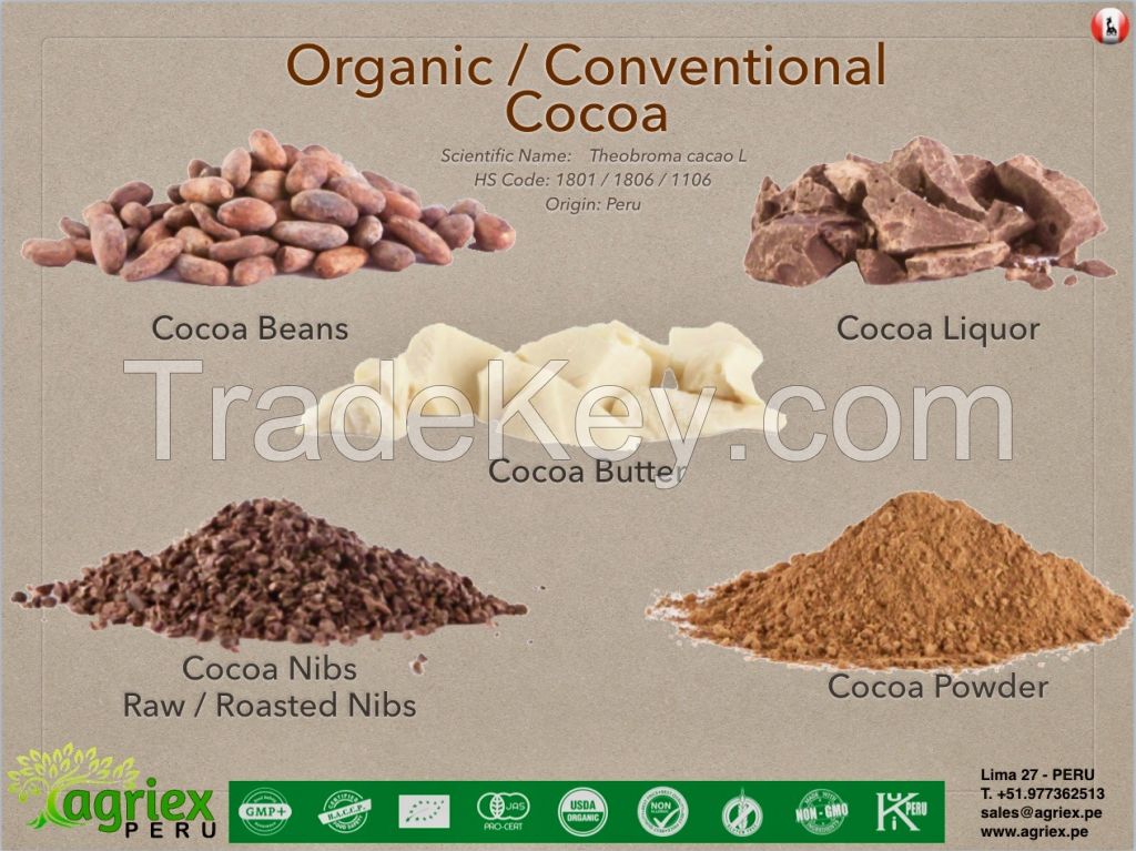 Organic Peruvian Cocoa - Beans, Nibs, Liquor, Butter, Powder