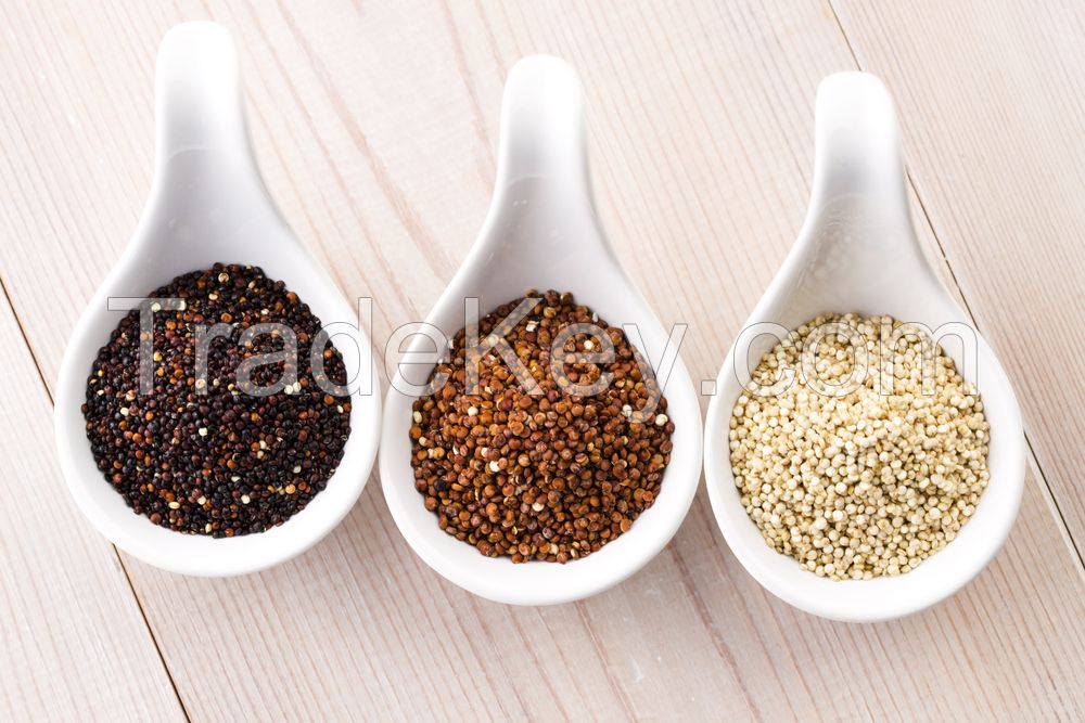 Quinoa Grains Organic and Conventional (Grain, Flakes, Bran, Powder)