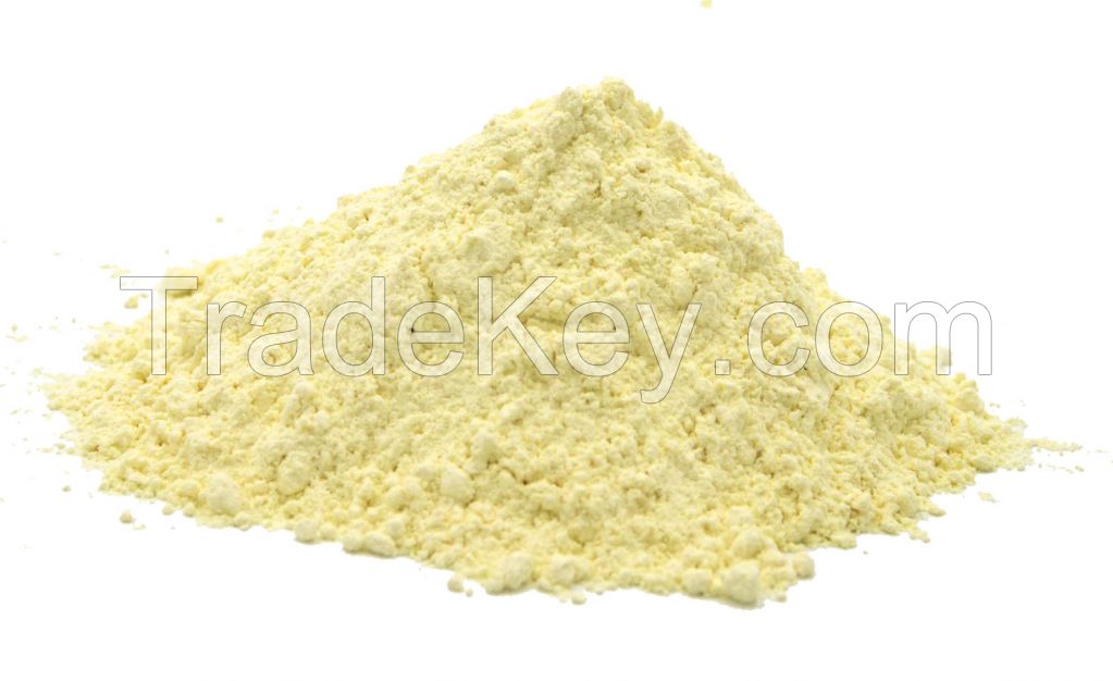 Dehydrated Garlic powder with root