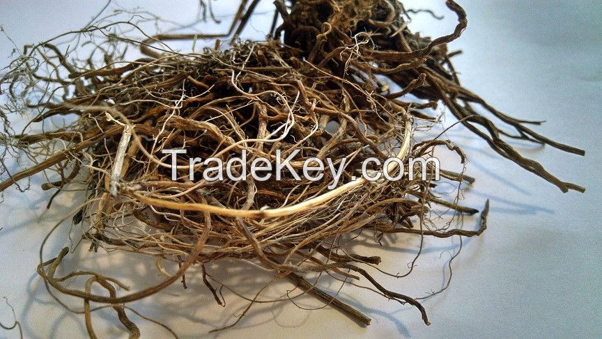 Organic dried valerian roots