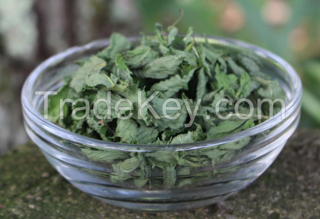 Organic Dried Peppermint Leaves