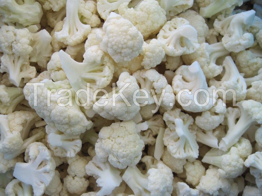 frozen IQF cauliflower 30-50 mm 